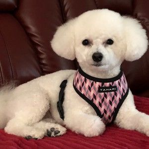 Meet your Posher, Mary ellen